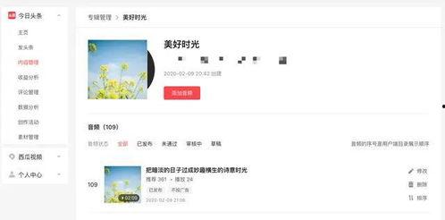 头条音频用户喜好,揭秘用户喜好，打造个性化推荐新篇章